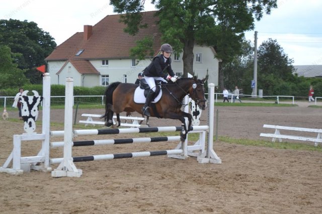 reitertag 2013 76